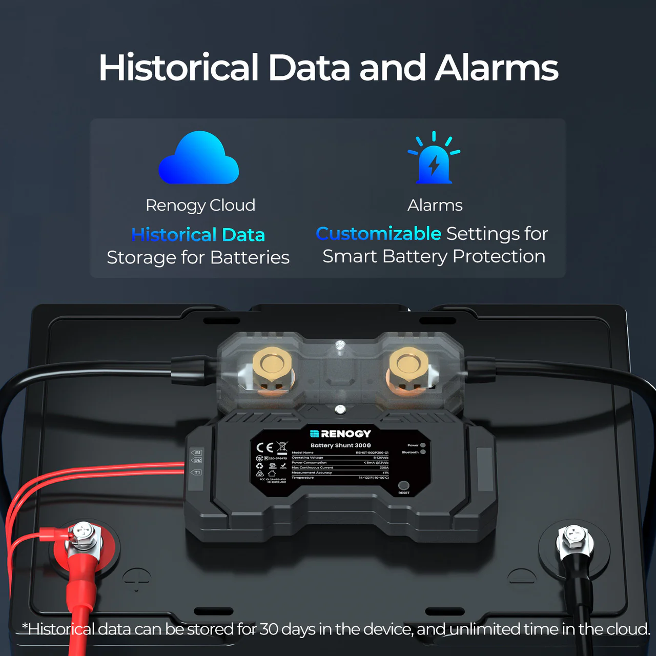 RENOGY Battery Shunt 300 - Image 5
